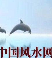 甘肃做梦梦到这些，是要富裕的征兆！